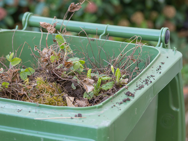 Time To Renew Garden Waste Services North Somerset Life   7 2303 