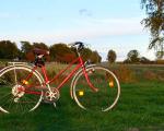 a red bike upright in a green field