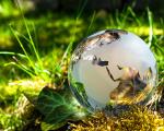 clear glass globe, with landmass made of frosted glass, sat on lush grass, leaves and moss
