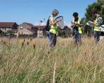 three people with nets in a wildflower meadow