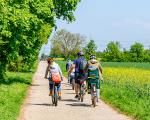 Family cycling in countryside