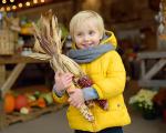 a young boy with autumnal dried flowers