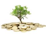 A tree growing from a pot of money