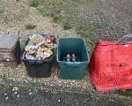 Recycling containers correctly sorted
