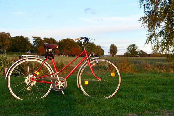 a red bike upright in a green field
