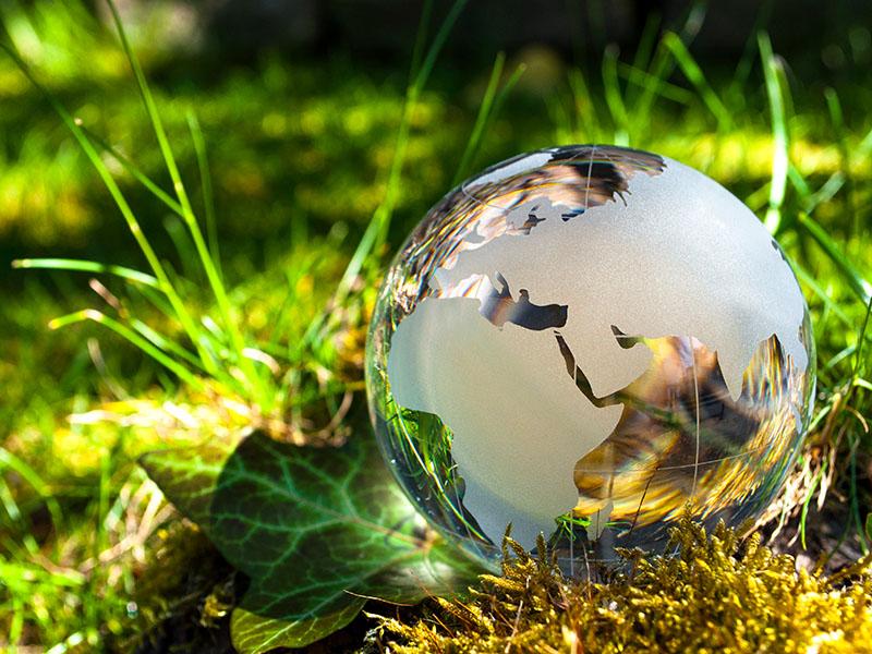 clear glass globe, with landmass made of frosted glass, sat on lush grass, leaves and moss