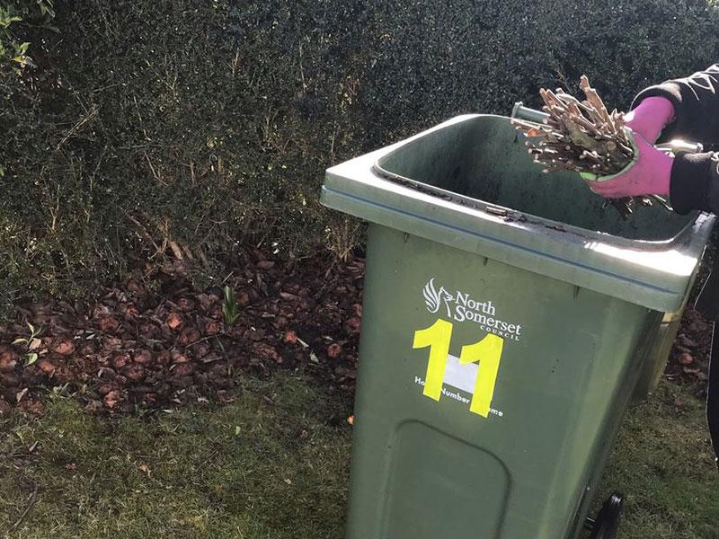 plant cuttings being placed in a green garden waste wheelie bin