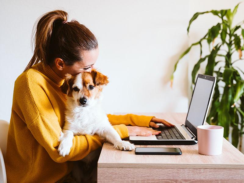 woman sat at a laptop with a dog in her lap