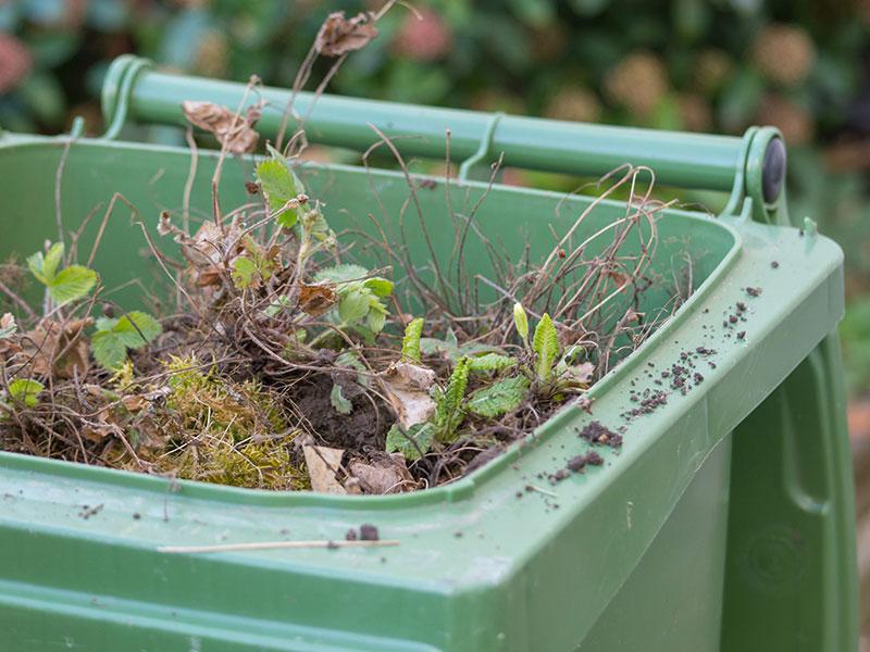Garden waste collection dates changing Elife