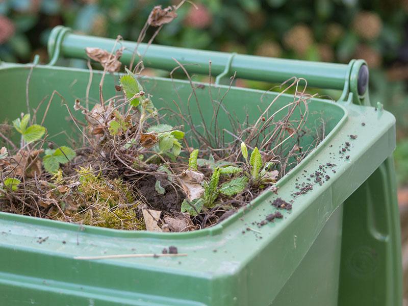 A full green garden waste bin
