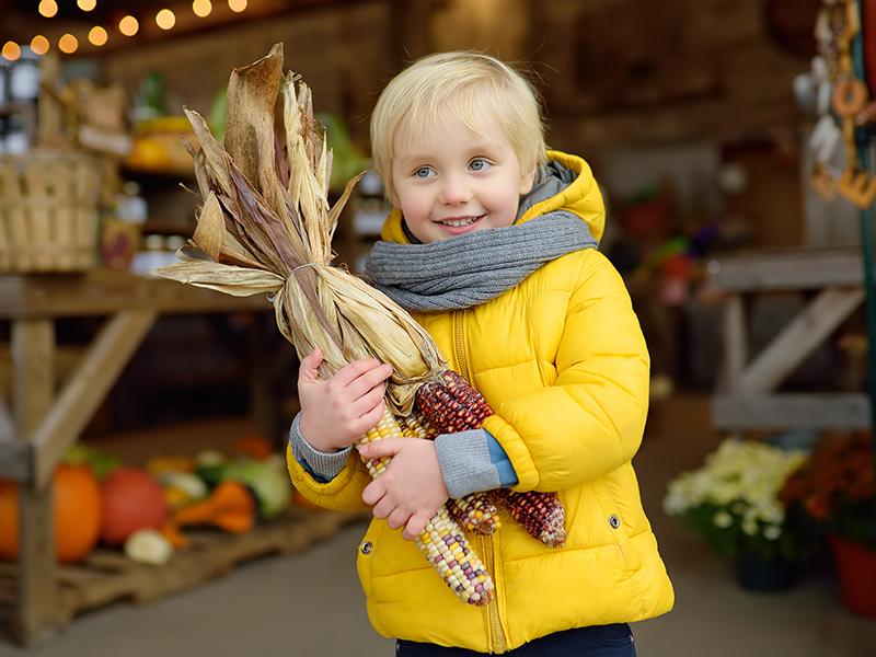 a young boy with autumnal dried flowers