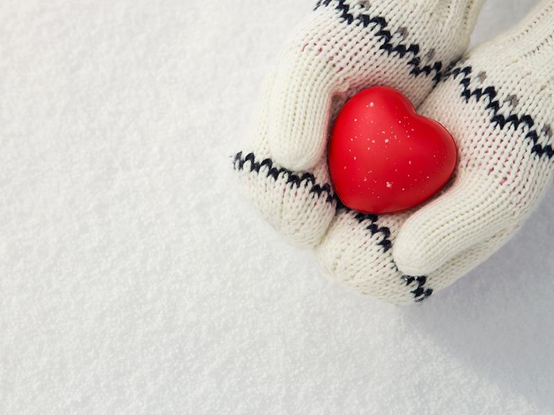 gloved hands holding a model of a heart