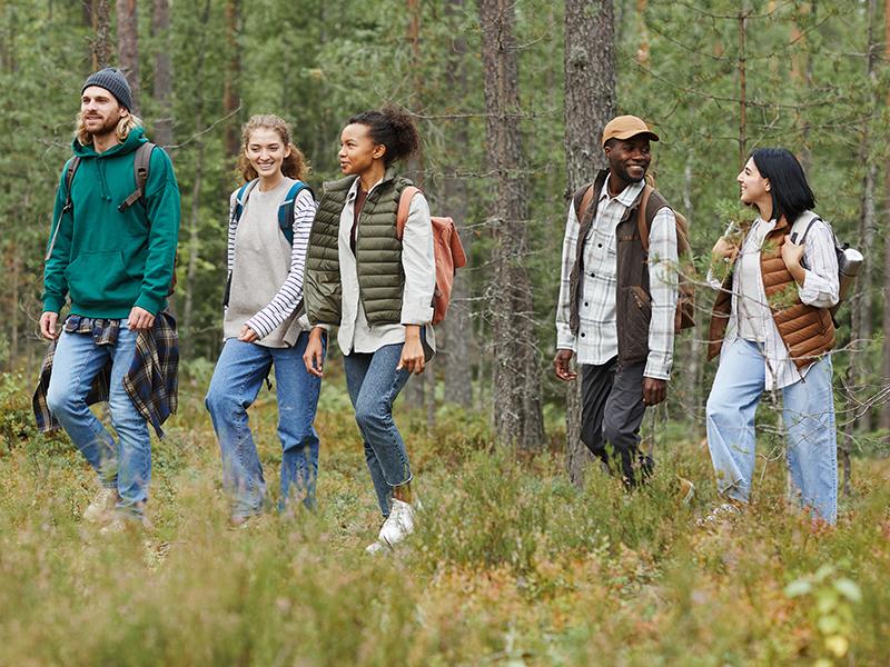 people walking in woods