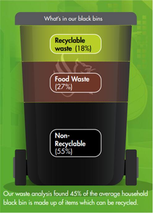 graphic showing percentages of items in black bin