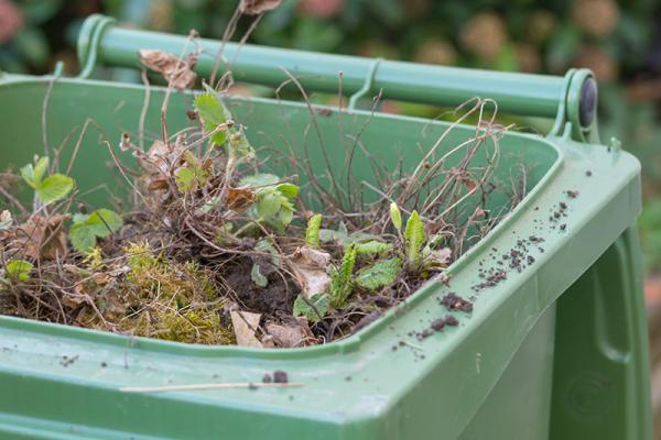 a full garden waste bin